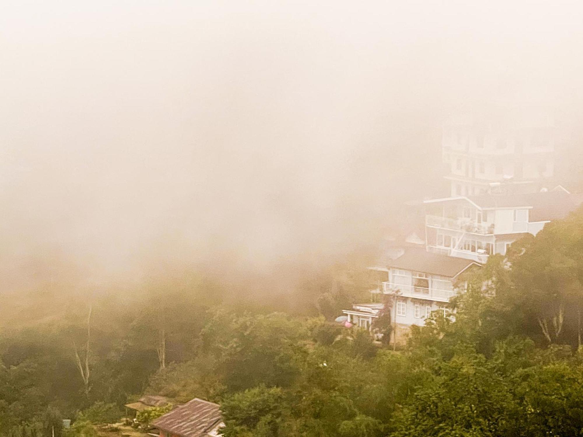 Bed On Hill Hotel Đà Lạt Ngoại thất bức ảnh